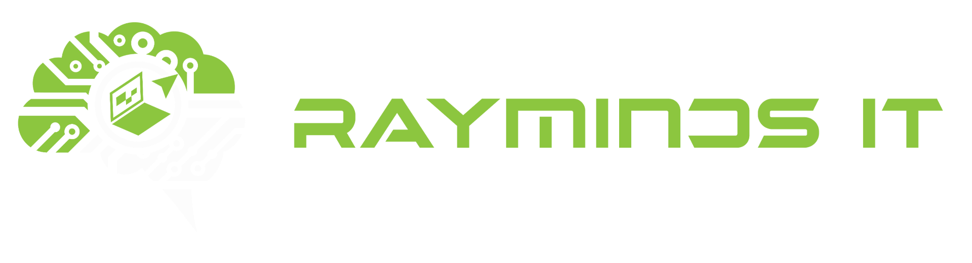 RayMinds IT